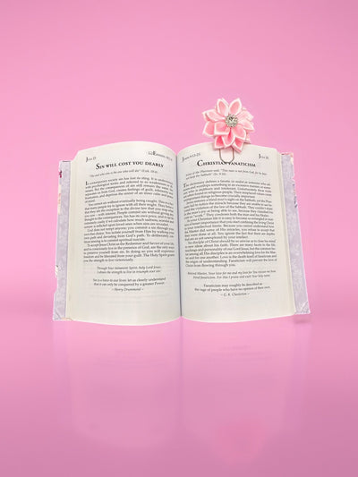 Read The Whole Bible in 40 Days