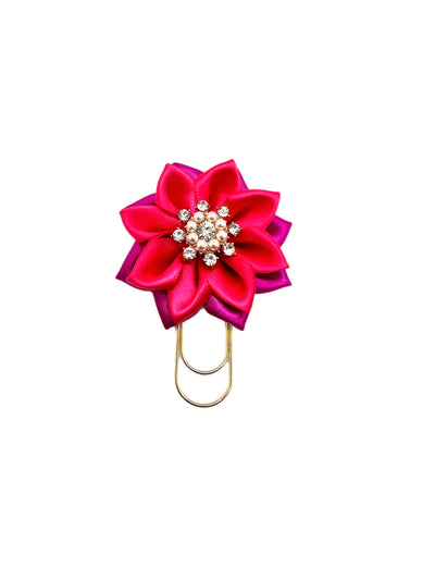 Fuchsia & Hot Pink Daisy Mini