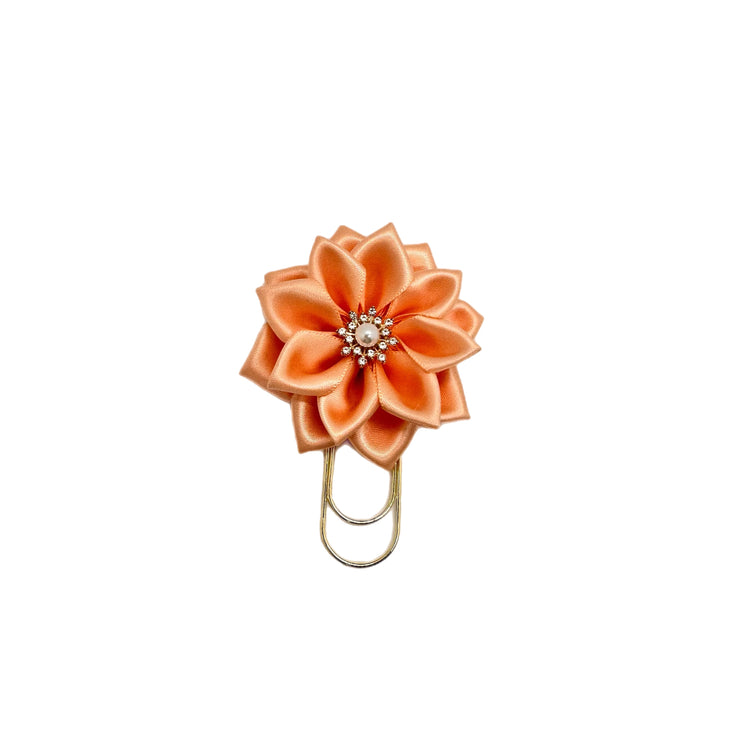 Peach Daisy Mini